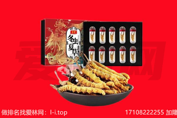兴海冬虫夏草回收