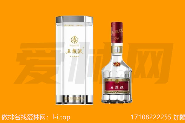 兴海五粮液回收